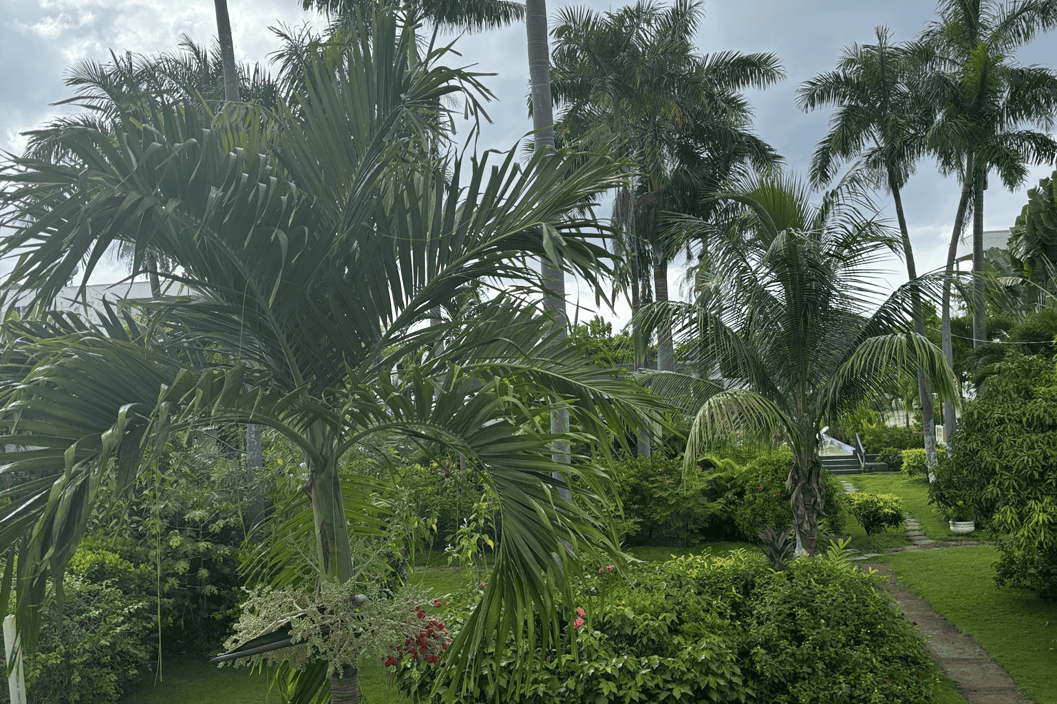 Negril Beach Club